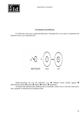 Espiritismo e Genética




                                    Fecundação ou fertilização:

       É a fusão do óvulo com o espermatozóide para a formação do ovo ou zigoto. Os gametas são
haplóides (n) e o ovo é diplóide (2n).




         Desenvolvimento do ovo até indivíduo: ovo             embrião (várias células iguais)
diferenciação celular     tecidos    órgãos sistemas      organismo.
         As células não diferenciadas (embrião) são as chamadas células-tronco. Elas são totipotentes,
isto é, poderão se diferenciar em qualquer tecido.




                                                                                                   76
 