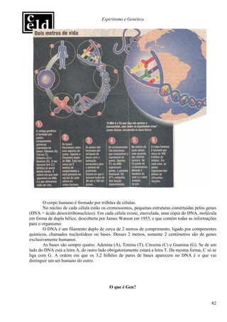 Espiritismo e Genética




       O corpo humano é formado por trilhões de células.
       No núcleo de cada célula estão os cromossomos, pequenas estruturas constituídas pelos genes
(DNA = ácido desoxirribonucleico). Em cada célula existe, enovelada, uma cópia do DNA, molécula
em forma de dupla hélice, descoberta por James Watson em 1953, e que contém todas as informações
para o organismo.
       O DNA é um filamento duplo de cerca de 2 metros de comprimento, ligado por componentes
químicos, chamados nucleotídeos ou bases. Desses 2 metros, somente 2 centímetros são de genes
exclusivamente humanos.
       As bases são sempre quatro: Adenina (A), Timina (T), Citosina (C) e Guanina (G). Se de um
lado do DNA está a letra A, do outro lado obrigatoriamente estará a letra T. Da mesma forma, C só se
liga com G. A ordem em que os 3,2 bilhões de pares de bases aparecem no DNA é o que vai
distinguir um ser humano do outro.




                                          O que é Gen?


                                                                                                 82
 