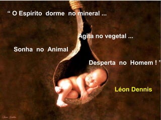 “ O Espírito dorme no mineral ...
Desperta no Homem ! ”
Agita no vegetal ...
Sonha no Animal ...
Léon Dennis
 