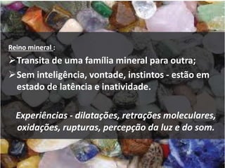 Reino mineral :
Transita de uma família mineral para outra;
Sem inteligência, vontade, instintos - estão em
estado de latência e inatividade.
Experiências - dilatações, retrações moleculares,
oxidações, rupturas, percepção da luz e do som.
 