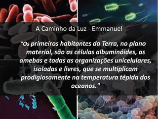 A Caminho da Luz - Emmanuel
“Os primeiros habitantes da Terra, no plano
material, são as células albuminóides, as
amebas e todas as organizações unicelulares,
isoladas e livres, que se multiplicam
prodigiosamente na temperatura tépida dos
oceanos."
 