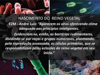 NASCIMENTO DO REINO VEGETAL
E2M - André Luiz: “Aparecem os vírus oferecendo clima
adequado aos princípios inteligentes.
Evidenciam-se, então, as bactérias rudimentares,
dividindo-se por raças e grupos numerosos, plasmando,
pela reprodução assexuada, as células primárias, que se
responsabilizam pelas eclosões do reino vegetal em seu
início.”
 