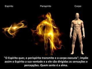 "O Espírito quer, o perispírito transmite e o corpo executa"; impõe
assim o Espírito a sua vontade e a ele são dirigidas as sensações e
percepções. Quem sente é a alma.
 