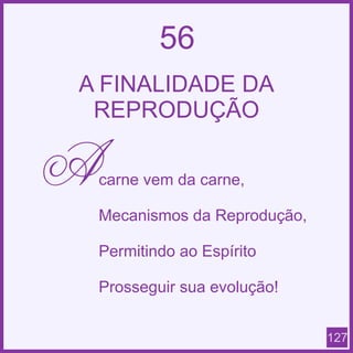 Espiritismo em quadras