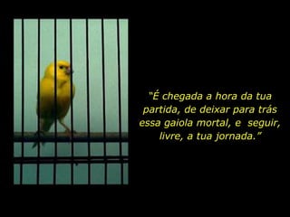“É chegada a hora da tua
partida, de deixar para trás
essa gaiola mortal, e seguir,
livre, a tua jornada.”
 