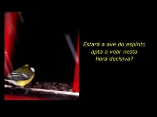 Estará a ave do espírito
apta a voar nesta
hora decisiva?
 