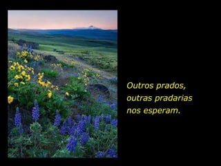 Outros prados,
outras pradarias
nos esperam.
 