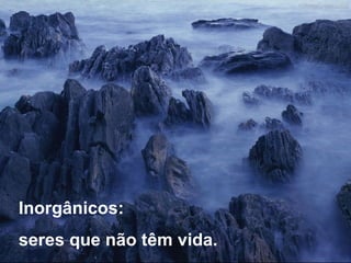 Inorgânicos:
seres que não têm vida.
 