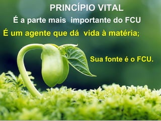 É a parte mais importante do FCU
PRINCÍPIO VITAL
É um agente que dá vida à matéria;
Sua fonte é o FCU.
 