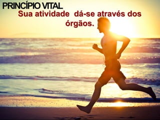 PRINCÍPIOVITAL
Sua atividade dá-se através dos
órgãos.
 
