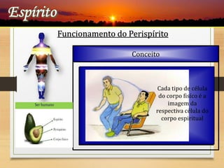 Funcionamento do Perispírito
Conceito
L.E- 93- “O Espírito propriamente dito vive a
descoberto ou é envolvido por alguma
substância?”
“- O Espírito é envolvido por uma substância que é
vaporosa para ti, mas bastante grosseira para nós;
suficientemente vaporosa para que ele possa se
elevar-se na atmosfera e transpor-se para onde
quizer.”
PERISPÍRITO
( Grego- Peri= em torno / Latim- Spiritus=Espírito)
“É o envoltório sutil e perene da alma, que
possibilita sua interação com os meios espiritual
e físico.”
O Perispírito- Z.Z
Palavra empregada pela primeira vez por
Allan Kardec:
“Envolvendo o gérmen de um fruto, há o
perisperma ; do mesmo modo, uma substância
que, por comparação, se pode chamar
Perispírito, serve de envóltorio ao Espírito,
propriamente dito.”
Embora os estudos sobre o perispírito tenham
sido sistematizados somente apartir de Kardec,
tem sido ele percebido desde épocas imemoriais.
Denominações mais conhecidas:
Corpo Astral
Corpo Sidério
Corpo Fluídico
Mediador Plástico
Psicossoma
Modelo Organizador Biológico
Cada tipo de célula
do corpo fisíco é a
imagem da
respectiva célula do
corpo espiritual
 