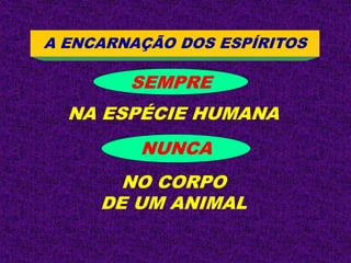 SEMPRE
NA ESPÉCIE HUMANA
NUNCA
NO CORPO
DE UM ANIMAL
A ENCARNAÇÃO DOS ESPÍRITOS
 