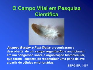 Jacques Bergier e Paul Weiss preconizaram a
descoberta de um campo organizador e anunciaram,
em um congresso sobre a organização biomolecular,
que foram capazes de reconstituir uma pena de ave
a partir de células embrionárias.
O Campo Vital em Pesquisa
Científica
BERGIER, 1957
 