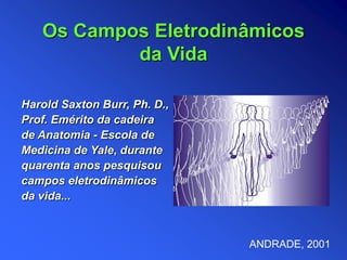 Harold Saxton Burr, Ph. D.,
Prof. Emérito da cadeira
de Anatomia - Escola de
Medicina de Yale, durante
quarenta anos pesquisou
campos eletrodinâmicos
da vida...
Os Campos Eletrodinâmicos
da Vida
ANDRADE, 2001
 