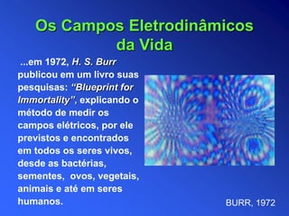 ...em 1972, H. S. Burr
publicou em um livro suas
pesquisas: “Blueprint for
Immortality”, explicando o
método de medir os
campos elétricos, por ele
previstos e encontrados
em todos os seres vivos,
desde as bactérias,
sementes, ovos, vegetais,
animais e até em seres
humanos.
Os Campos Eletrodinâmicos
da Vida
BURR, 1972
 