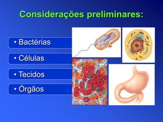 • Células
Considerações preliminares:
• Órgãos
• Bactérias
• Tecidos
 