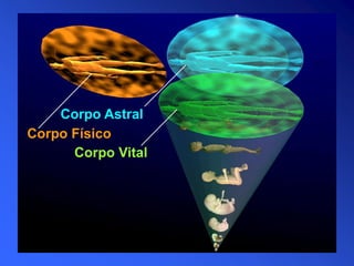 Corpo Astral
Corpo Físico
Corpo Vital
 