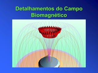 Detalhamentos do Campo
Biomagnético
 