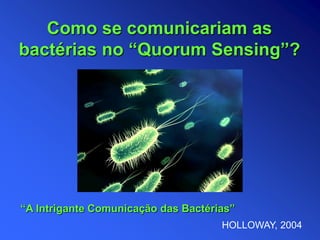 Como se comunicariam as
bactérias no “Quorum Sensing”?
HOLLOWAY, 2004
“A Intrigante Comunicação das Bactérias”
 