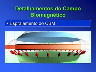 • Espraiamento do CBM
Detalhamentos do Campo
Biomagnético
 