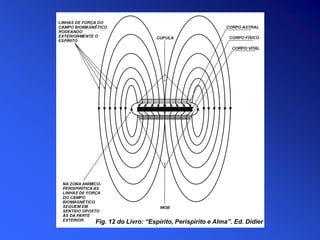 Fig. 12 do Livro: “Espírito, Perispírito e Alma”. Ed. Didier
 