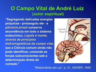 “Segregando delicadas energias
psíquicas - prosseguiu ele - a
glândula pineal conserva
ascendência em todo o sistema
endocrínico. Ligada à mente,
através de princípios
eletromagnéticos do campo vital,
que a Ciência comum ainda não
pode identificar, comanda as
forças subconscientes sob a
determinação direta da
vontade.”
O Campo Vital de André Luiz
(autor espiritual)
“Missionários da Luz”, p. 21, XAVIER, 1945
 