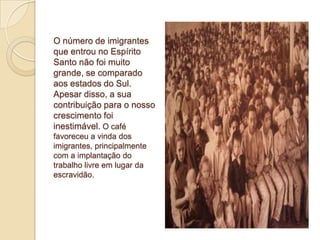 O número de imigrantes
que entrou no Espírito
Santo não foi muito
grande, se comparado
aos estados do Sul.
Apesar disso, a sua
contribuição para o nosso
crescimento foi
inestimável. O café
favoreceu a vinda dos
imigrantes, principalmente
com a implantação do
trabalho livre em lugar da
escravidão.
 