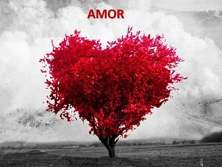 AMOR
 