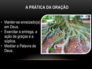 A PRÁTICA DA ORAÇÃO


• Manter-se enraizado(a)
  em Deus.
• Exercitar a entrega, a
  ação de graças e a
  súplica.
• Meditar a Palavra de
  Deus.
 