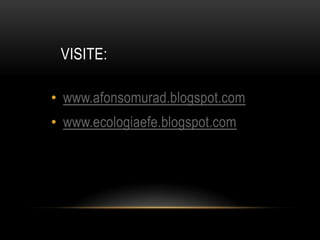 VISITE:

• www.afonsomurad.blogspot.com
• www.ecologiaefe.blogspot.com
 
