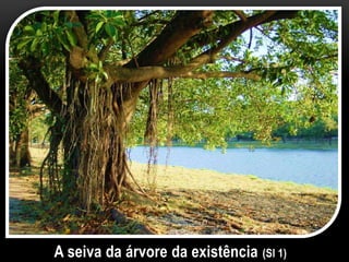 A seiva da árvore da existência (Sl 1)
 