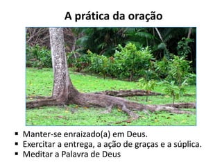A prática da oração




 Manter-se enraizado(a) em Deus.
 Exercitar a entrega, a ação de graças e a súplica.
 Meditar a Palavra de Deus
 