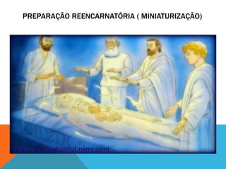 PREPARAÇÃO REENCARNATÓRIA ( MINIATURIZAÇÃO)
 