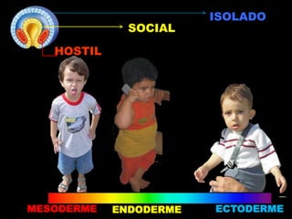 SOCIAL
ECTODERMEMESODERME ENDODERME
ISOLADO
HOSTIL
 