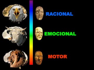 MOTOR
EMOCIONAL
RACIONAL
 