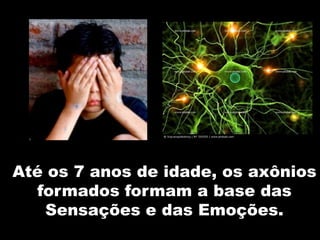 Até os 7 anos de idade, os axônios
formados formam a base das
Sensações e das Emoções.
 