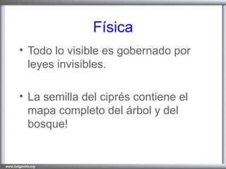 Física Todo lo visible es gobernado por leyes invisibles. La semilla del ciprés contiene el mapa completo del árbol y del bosque!