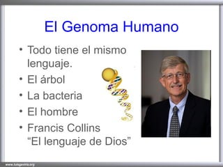El Genoma Humano Todo tiene el mismo lenguaje. El árbol La bacteria El hombre Francis Collins “El lenguaje de Dios”