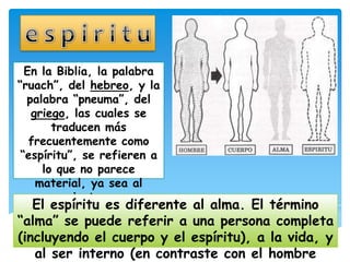 En la Biblia, la palabra
“ruach”, del hebreo, y la
  palabra “pneuma”, del
   griego, las cuales se
       traducen más
   frecuentemente como
 “espíritu”, se refieren a
     lo que no parece
    material, ya sea al
          viento .
   El espíritu es diferente al alma. El término
“alma” se puede referir a una persona completa
(incluyendo el cuerpo y el espíritu), a la vida, y
   al ser interno (en contraste con el hombre
 