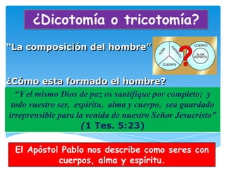 ¿Dicotomía o tricotomía?
“La composición del hombre”


¿Cómo esta formado el hombre?
   “Y el mismo Dios de paz os santifique por completo; y
  todo vuestro ser, espíritu, alma y cuerpo, sea guardado
 irreprensible para la venida de nuestro Señor Jesucristo”
                      (1 Tes. 5:23)

  El Apóstol Pablo nos describe como seres con
            cuerpos, alma y espíritu.
 