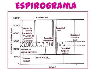 Espirograma
 