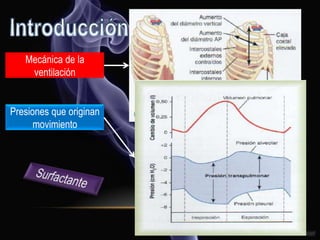Mecánica de la
ventilación
Presiones que originan
movimiento
 