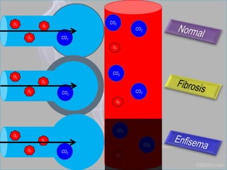 O2
O2
O2
O2
O2
O2
O2
O2
O2
CO2
CO2
CO2
CO2
CO2
CO2
O2
O2
O2
CO2
CO2
CO2
 