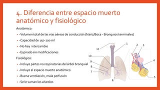 4. Diferencia entre espacio muerto
anatómico y fisiológico
Anatómico:
• -Volumen total de las vías aéreas de conducción (Nariz/Boca - Bronquios terminales)
• -Capacidad de 150-200 ml
• -No hay intercambio
• -Espirado sin modificaciones
Fisiológico:
• -Incluye partes no respiratorias del árbol bronquial
• -Incluye el espacio muerto anatómico
• -Buena ventilación, mala perfusión
• -Se le suman los alveolos
 