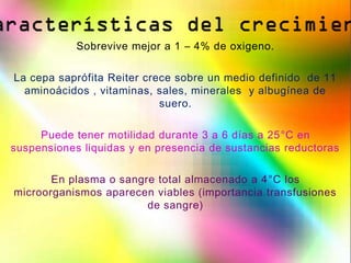 Sobrevive mejor a 1 – 4% de oxigeno.

La cepa saprófita Reiter crece sobre un medio definido de 11
  aminoácidos , vitaminas, sales, minerales y albugínea de
                            suero.

     Puede tener motilidad durante 3 a 6 días a 25°C en
suspensiones liquidas y en presencia de sustancias reductoras

       En plasma o sangre total almacenado a 4°C los
microorganismos aparecen viables (importancia transfusiones
                        de sangre)
 