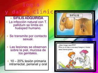  SIFILIS ADQUIRIDA
 La infección natural con T.
     pallidum se limita en
      huésped humano.

 Se transmite por contacto
            sexual.

 Las lesiones se observan
   sobre la piel, mucosa de
        los genitales.

 10 – 20% lesión primaria
  intrarrectal, perianal y oral
 