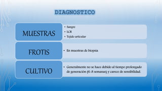 • Sangre
• LCR
• Tejido articular
MUESTRAS
• En muestras de biopsia
FROTIS
• Generalmente no se hace debido al tiempo prolongado
de generación (6-8 semanas) y carece de sensibilidad.CULTIVO
 
