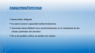 • Intracelular obligada
• no parece poseer capacidad sulfatorreductora.
• Lawsonia intracellularis crece preferentemente en el citoplasma de las
células epiteliales del intestino
• No se ha podido cultiva en medios sin células.
 