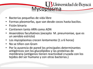 Mycoplasma
• Bacterias pequeñas de vida libre
• Formas pleomorfas, que van desde cocos hasta bacilos.
• Fisión binaria
• Contienen tanto ARN como ADN
• Anaerobios facultativos (excepto M. pneumoniae, que es
un aerobio estricto)
• Los mycoplasmas crecen lentamente (1 a 6 horas)
• No se tiñen con Gram
• Por la ausencia de pared los principales determinantes
antigénicos son los glucolípidos y las proteínas de
membrana (antígenos tienen reactividad cruzada con los
tejidos del ser humano y con otras bacterias.)
 