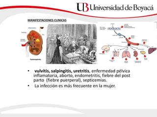 MANIFESTACIONES CLINICAS
.
• vulvitis, salpingitis, uretritis, enfermedad pélvica
inflamatoria, aborto, endometritis, fiebre del post
parto (fiebre puerperal), septicemias.
• La infección es más frecuente en la mujer.
 
